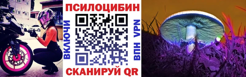 купить наркоту Мамадыш Галлюциногенные грибы мицелий